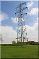 Electricity pylon in field on west side of Melton Spinney  Road