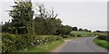 The Lane near Windy Ridge