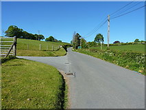 SJ1126 : Up the lane out of Llanrhaeadr-ym-Mochnant by Richard Law