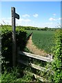 Footpath in Wadborough