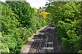 Railway cutting west of Gravesend station