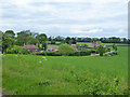 Houses on Throwley Road