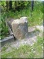 Listed milestone [1]