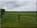 Field opposite Givendale Lane