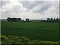 Farmland near the industrial estate