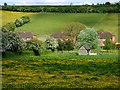 Pasture and houses, Aldbourne