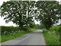 Puddington Lane towards Puddington 