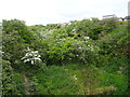 Dunure railway station (site), Ayrshire