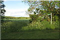 Footpath to Knotting Fox Farm from Chapel Lane