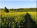 Farmland, Chipping Warden