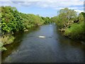 River Tees, Hurworth