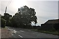 TQ6591 : Botney Hill Road, Little Burstead by David Howard
