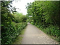 The Wirral Way towards West Kirby