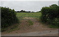 Field gate on the east side of  Westmarsh Lane, Oldbury-on-Severn