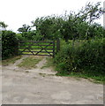 Cider apple orchard entrance gate, Oldbury-on-Severn