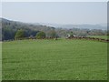 NX8989 : Nithsdale pasture by Richard Webb