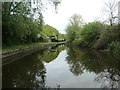 SK6010 : Grand Union [Leicester] Canal, near John Merrick's Lake by Christine Johnstone