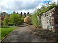 Beside the walled garden at Balloch Park