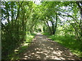 The Ebury Way to the south of Croxley Common Moor