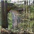 Carronhill Viaduct