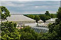 TQ1876 : Kew Gardens : Temperate House by Jim Osley