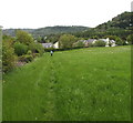 Track through a Whitchurch field, Herefordshire