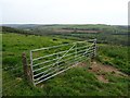 Farmland near Stackpole Elidor