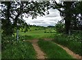 Turncroft Farm seen from Newhall Farm