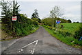 Dead-end road, Raveagh