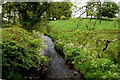 Stream, Raveagh