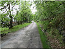 NN0570 : A section of tree-lined lochside road (A861) near to Goirtean a' Chladaich by Peter Wood