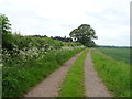 Farm track near Clifford