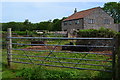 Cows sitting in the shade at Tor Farm