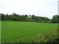 Farmland off the A51, Stableford