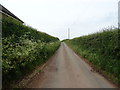 Lane towards Winnington