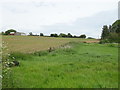 Fields towards Cobscot Farm