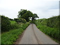 Lane towards Ridgwardine