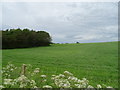 Grassland and woodland near Adderley 