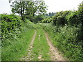 Footpath to Wivelrod