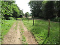 Track in Chawton Park Wood near Brickiln Farm