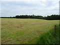 Cut silage field, Cloverley
