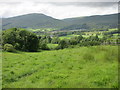 Field at Mains of Blairingone