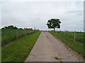 SJ6236 : Track to Oldfields Farm by JThomas