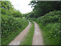 Easterly view down track