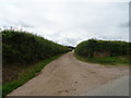 Track to Stychehall Farm