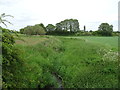 The River Duckow near Nobridge Farm