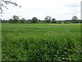 Crop field near Victoria Farm