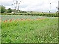 SO8793 : Poppy Row Field by Gordon Griffiths