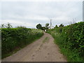 Track to Burley Cottage