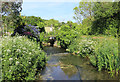 River Wey at Upwey